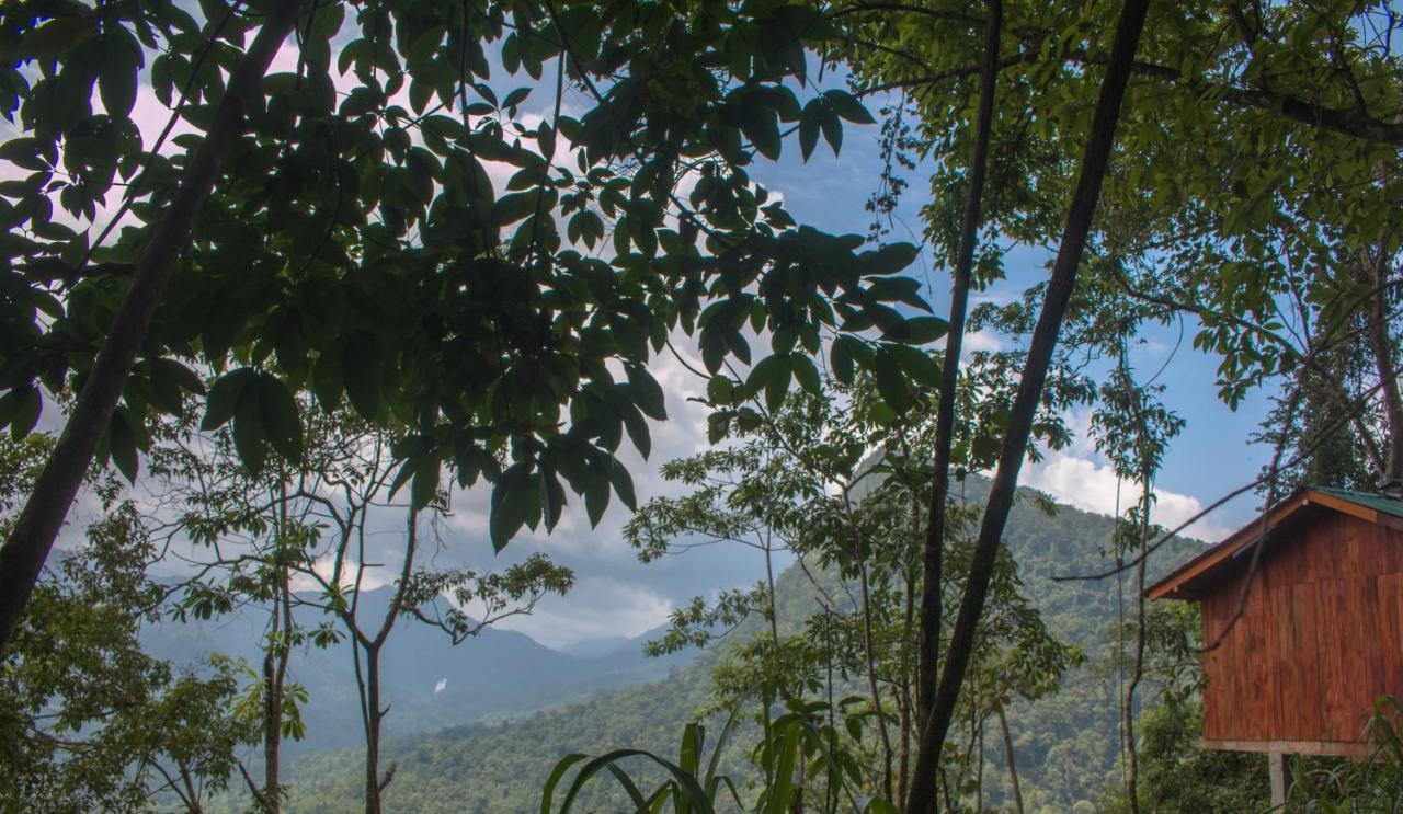 Tree Houses By Jungle River Ginigathena Bagian luar foto
