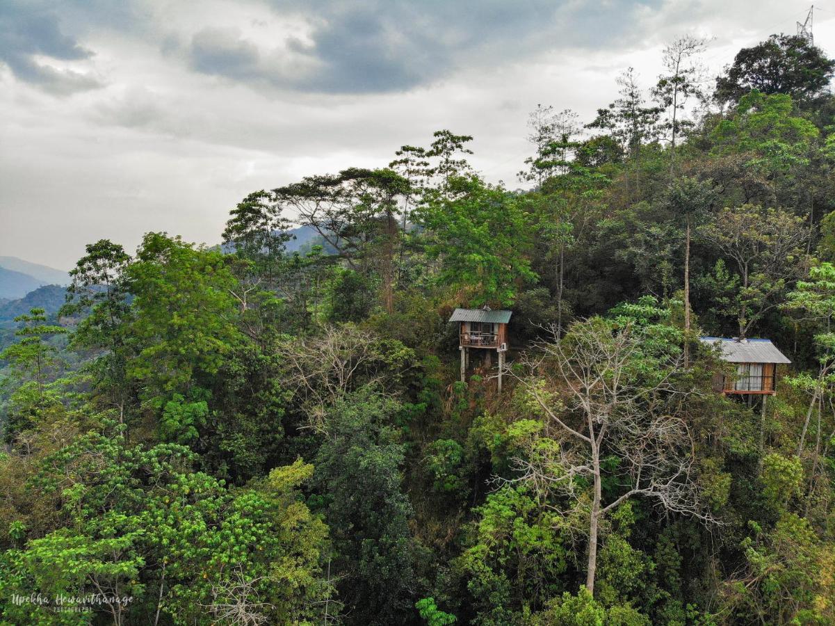 Tree Houses By Jungle River Ginigathena Bagian luar foto