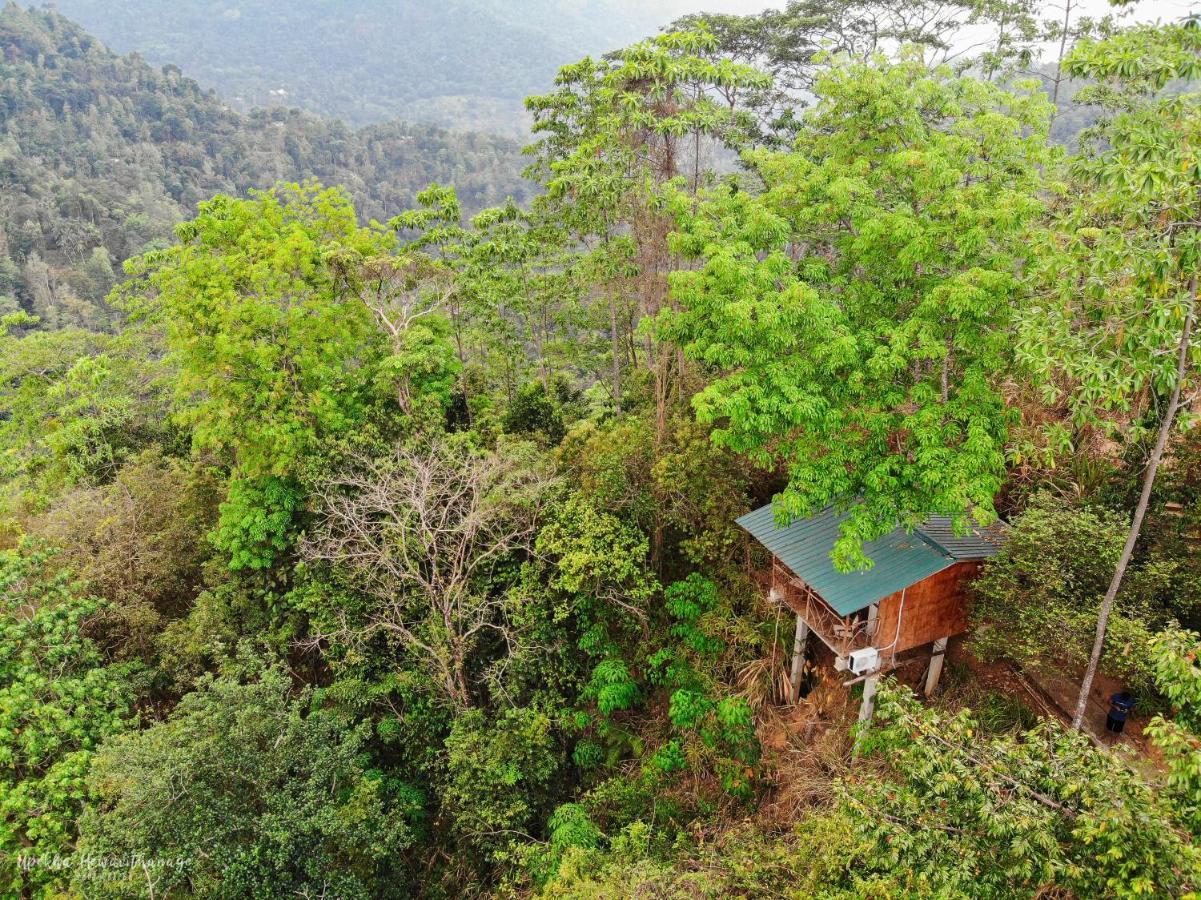 Tree Houses By Jungle River Ginigathena Bagian luar foto