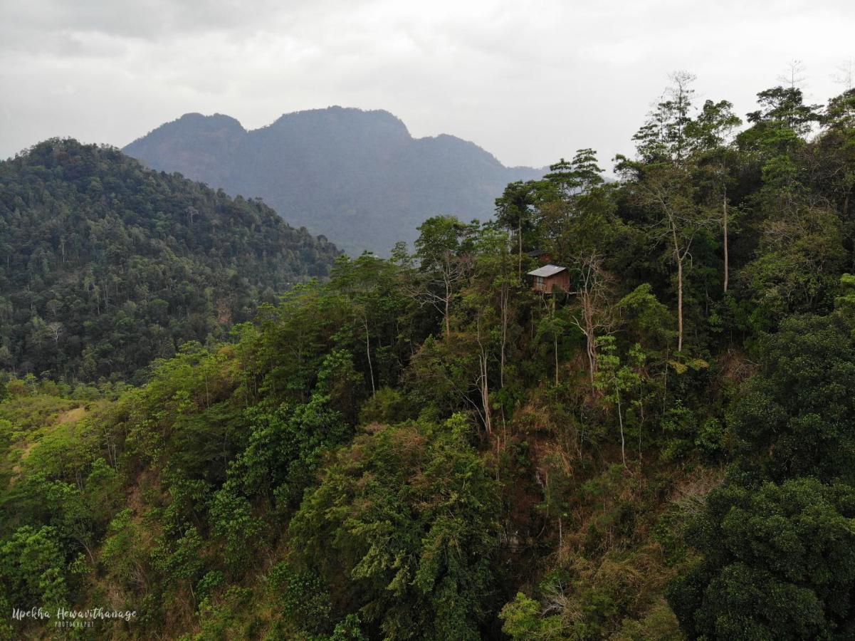 Tree Houses By Jungle River Ginigathena Bagian luar foto